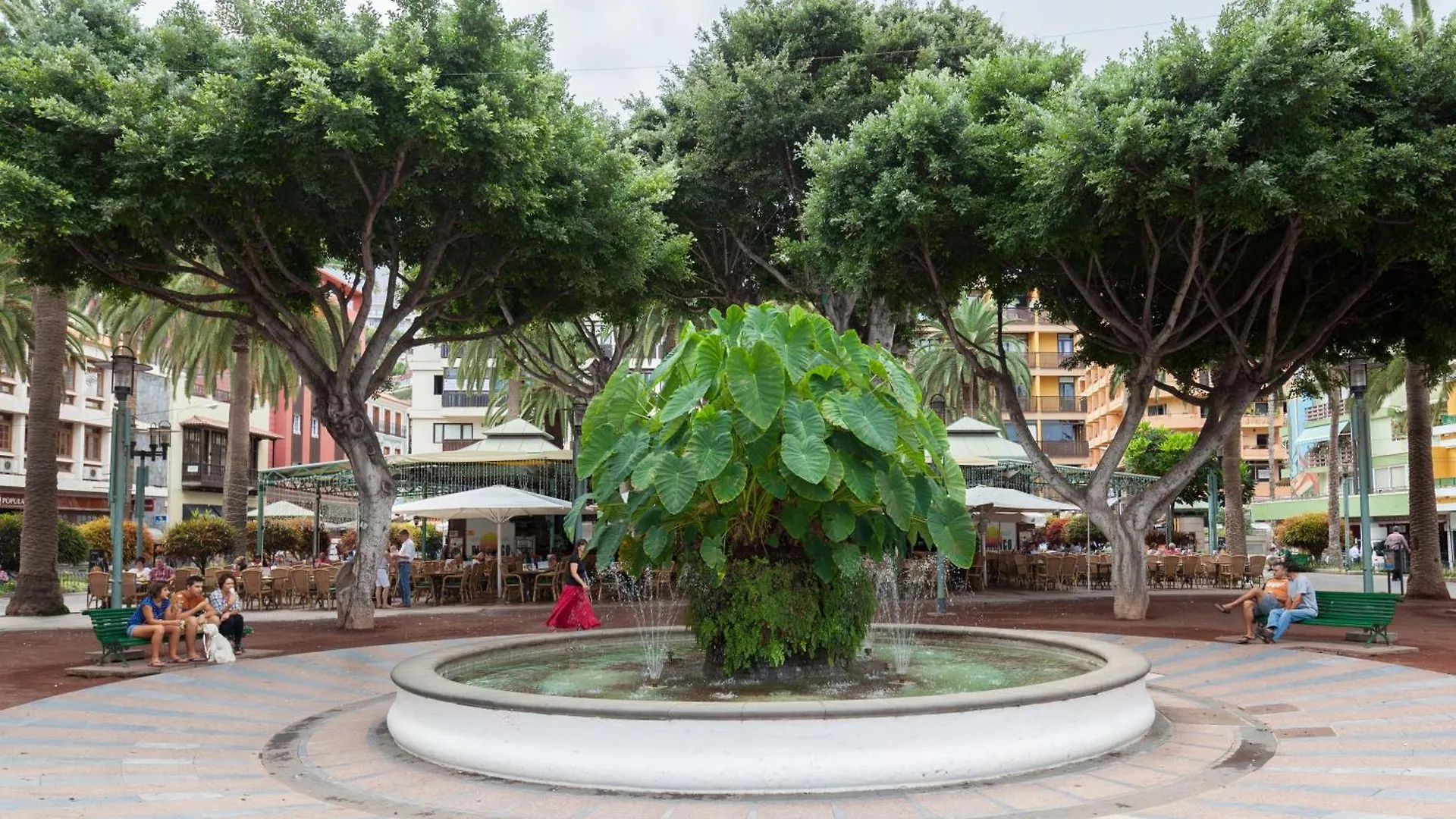 Charming Apt Puerto Cruz, Terrace & Pool Access Puerto de la Cruz  Puerto de la Cruz (Tenerife)
